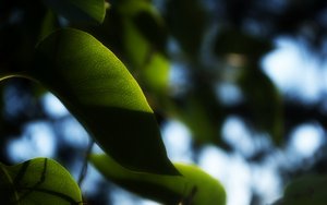 对比评测：生成式简历工具生成质量大比拼
